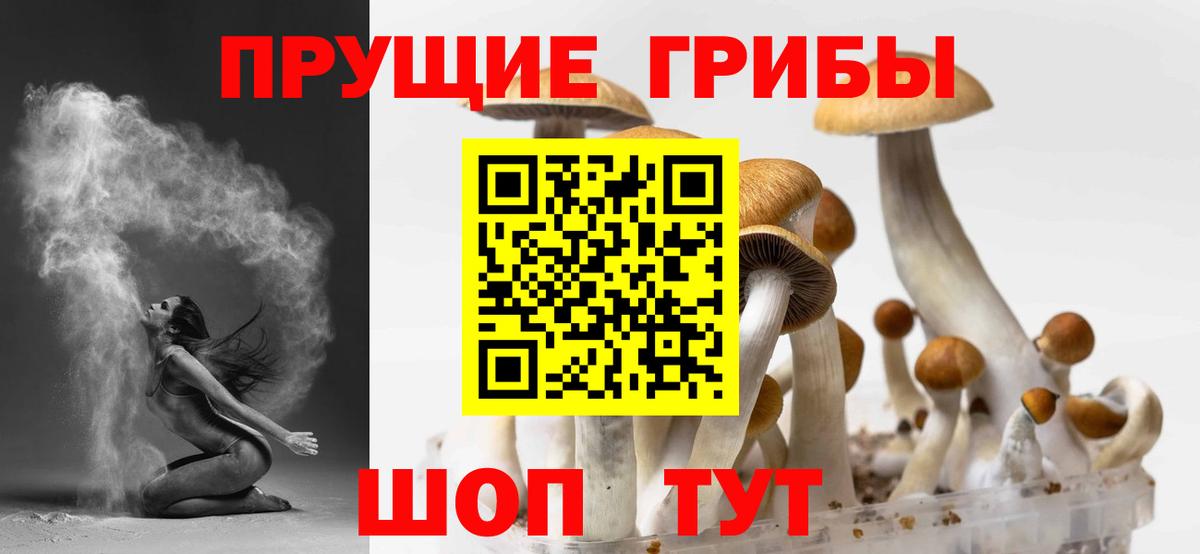 Галлюциногенные грибы Psilocybe Кохма