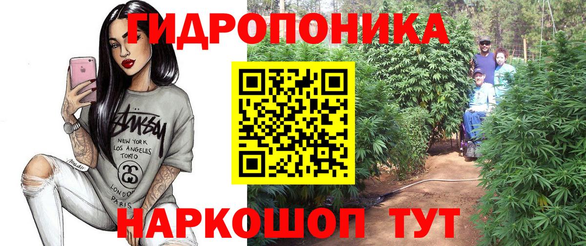 Кохма  Каннабис Amnesia  Вход с VPN  Бошки Шишки гибрид  Каннабис MAZAR 